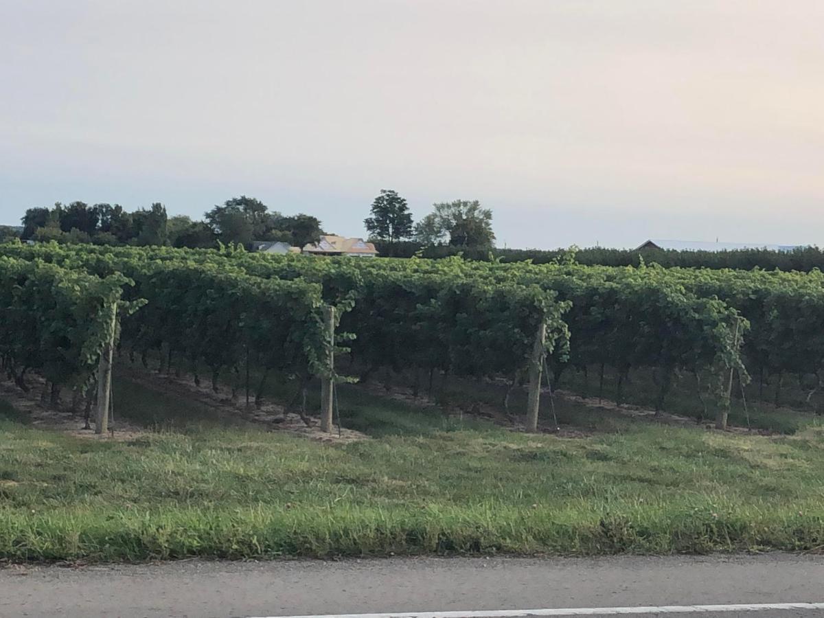 Villa In The Vines Niagara-on-the-Lake Exteriör bild