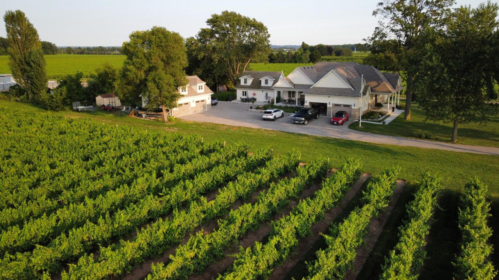 Villa In The Vines Niagara-on-the-Lake Exteriör bild